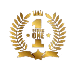 Number One Groups Logo